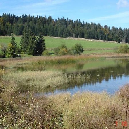 Le Tetras Villa Lamoura Eksteriør bilde