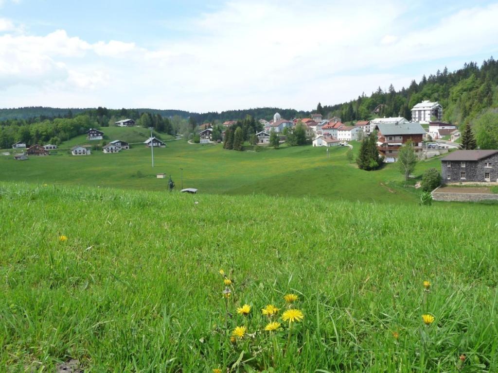 Le Tetras Villa Lamoura Eksteriør bilde